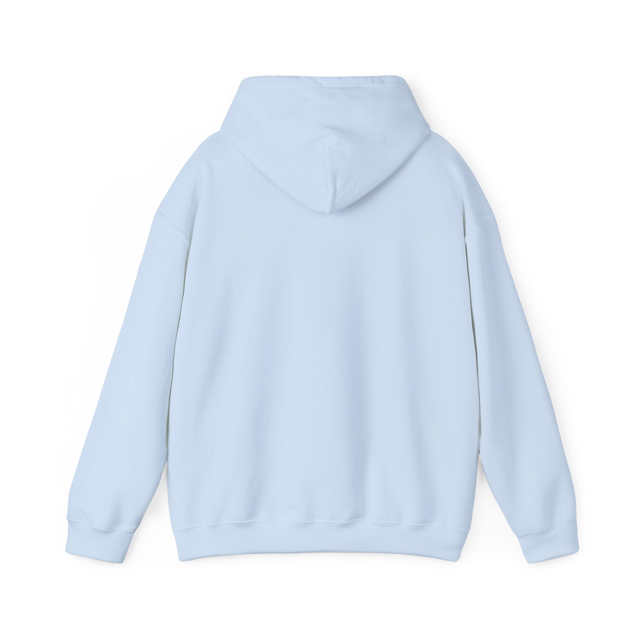 Gen X The Feral Generation Hoodie, Gen X Hoodie, Generation X Hoodie, Retro Gen X Hooded Sweatshirt, Cute Gen X Hoodie, Trendy Gen X Hoodie