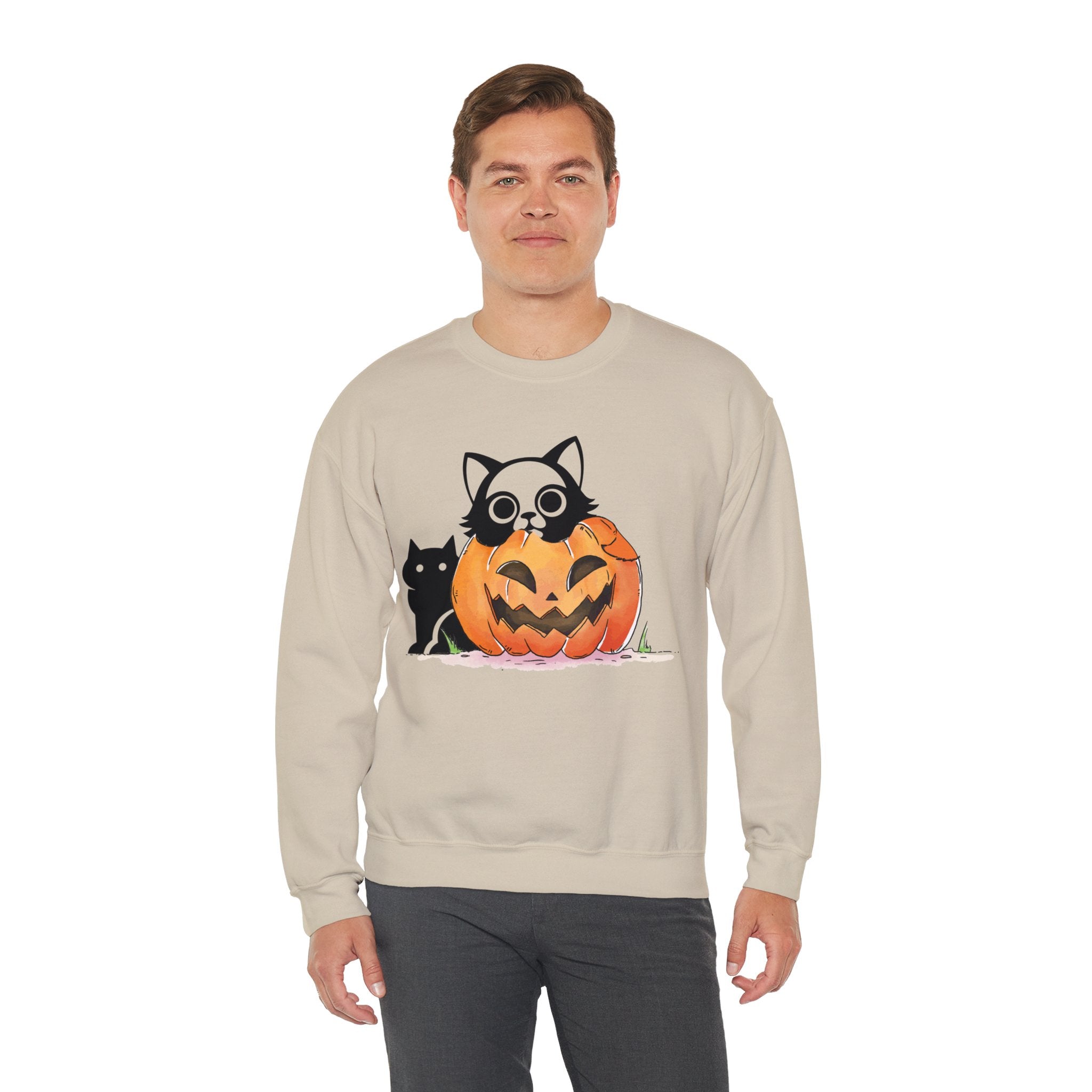 Black Cat Pumpkin Sweatshirt, Halloween Sweatshirt, Pumpkin shirt, Fall Sweatshirt for Women, Halloween Crewneck, Spooky Season, Bat top