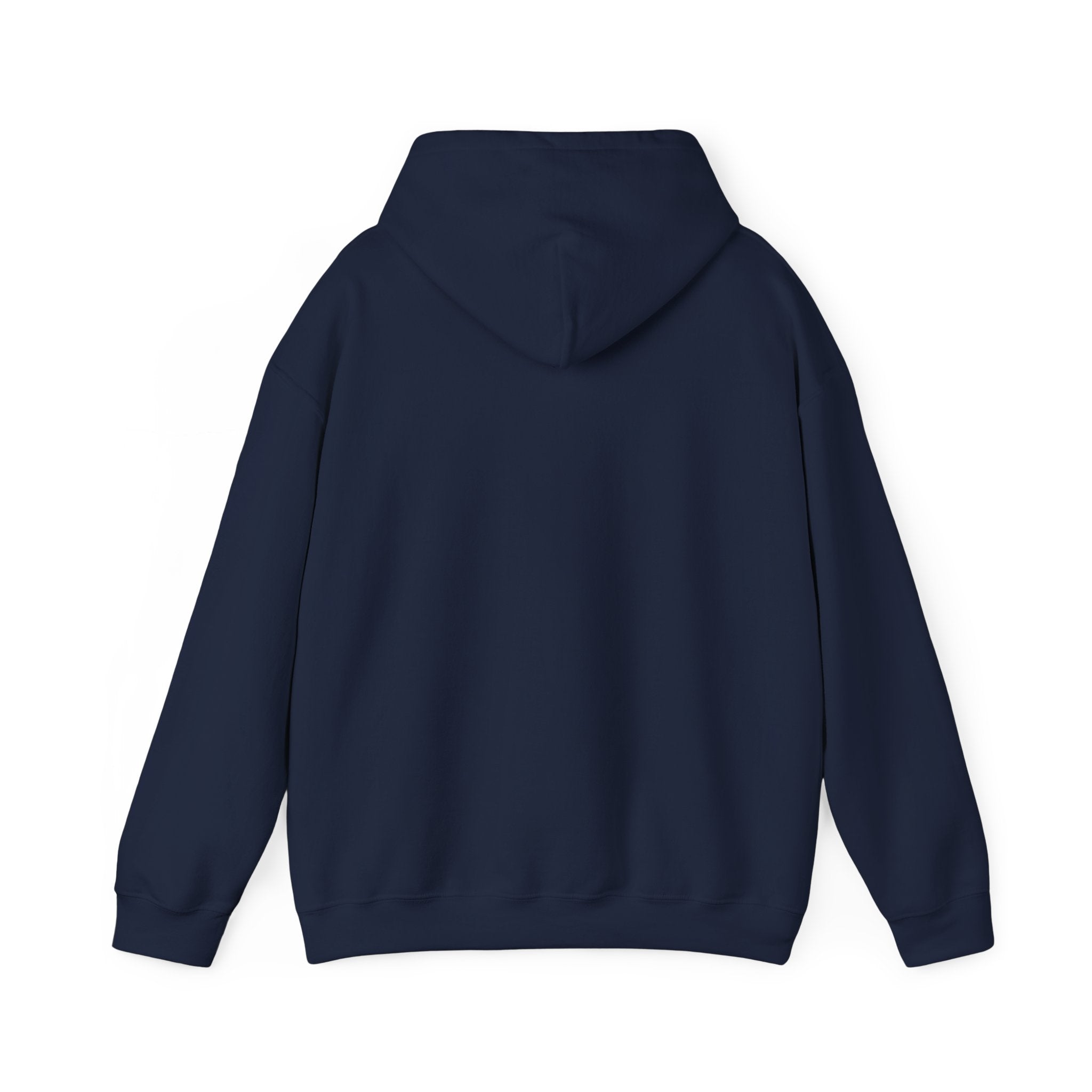 Gen X The Feral Generation Hoodie, Gen X Hoodie, Generation X Hoodie, Retro Gen X Hooded Sweatshirt, Cute Gen X Hoodie, Trendy Gen X Hoodie