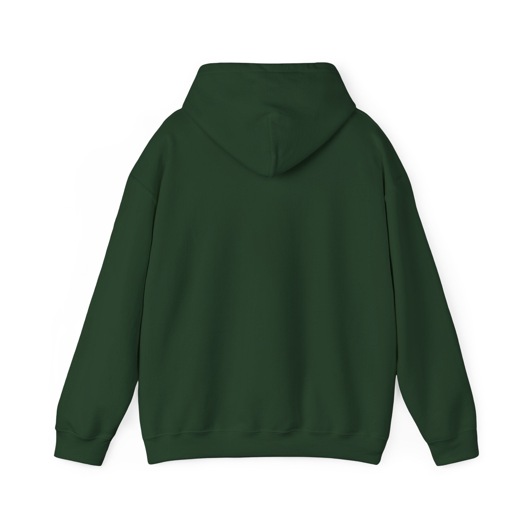Gen X The Feral Generation Hoodie, Gen X Hoodie, Generation X Hoodie, Retro Gen X Hooded Sweatshirt, Cute Gen X Hoodie, Trendy Gen X Hoodie