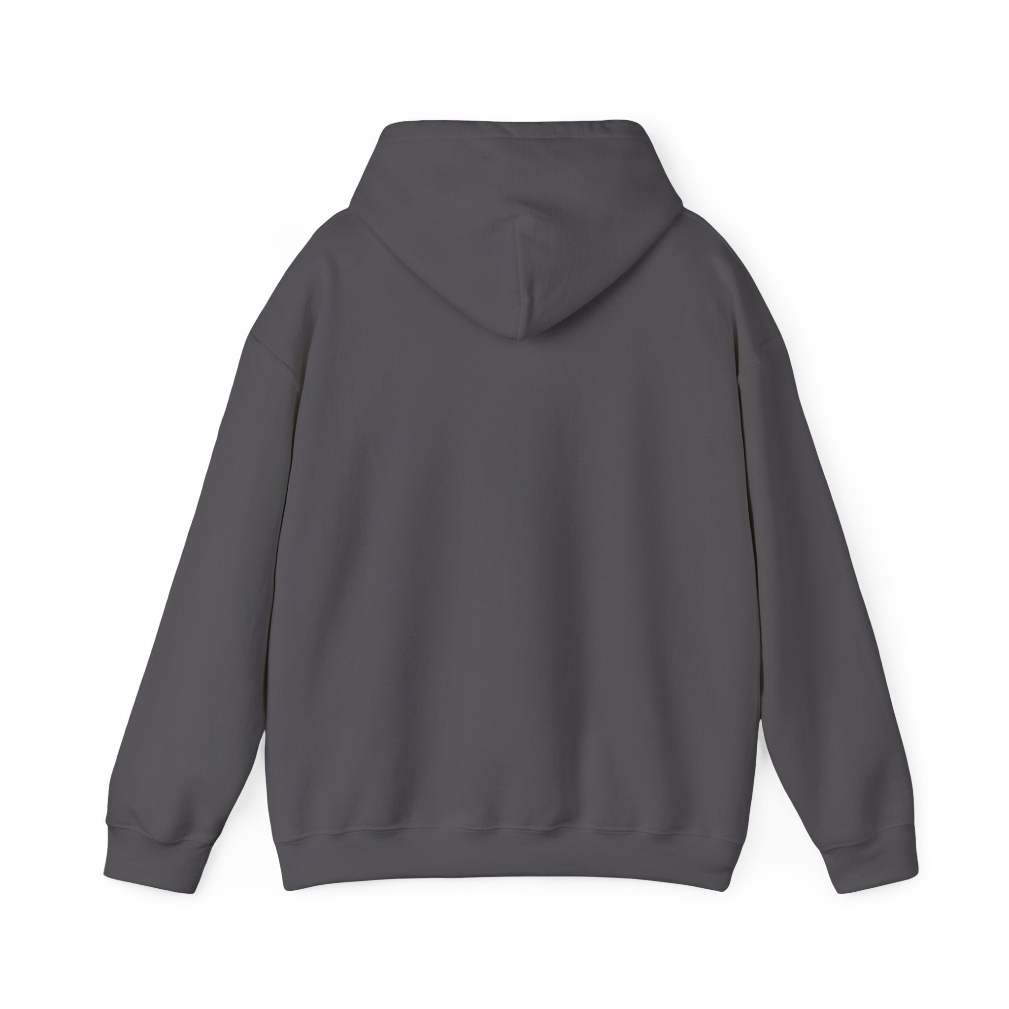 Gen X The Feral Generation Hoodie, Gen X Hoodie, Generation X Hoodie, Retro Gen X Hooded Sweatshirt, Cute Gen X Hoodie, Trendy Gen X Hoodie