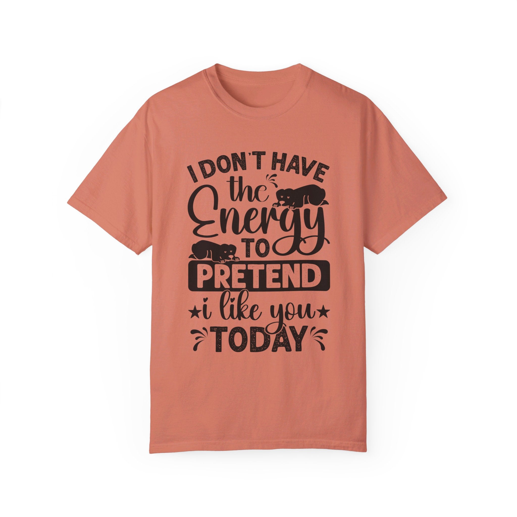 I Don't Have The Energy To Pretend I Like You Today Shirt, Funny Sarcastic Shirt, Sarcastic Quote Shirt, Sarcastic Shirt, Funny Women's Tee