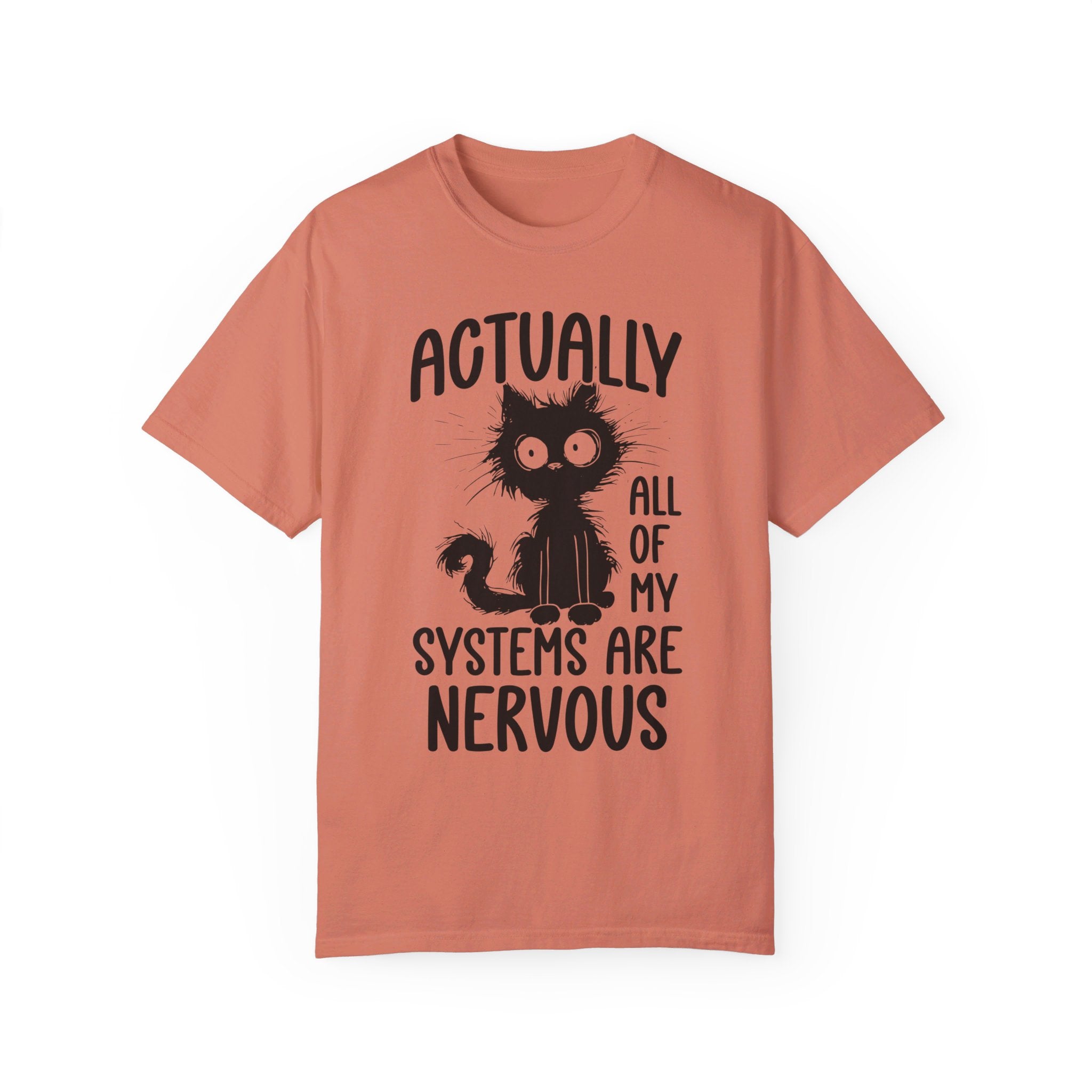 Actually All of My Systems Are Nervous Shirt, Raccoon Shirt, Mental Health Shirt, Anxiety Tshirt, Funny Tshirt, Vintage Retro Graphic Shirt