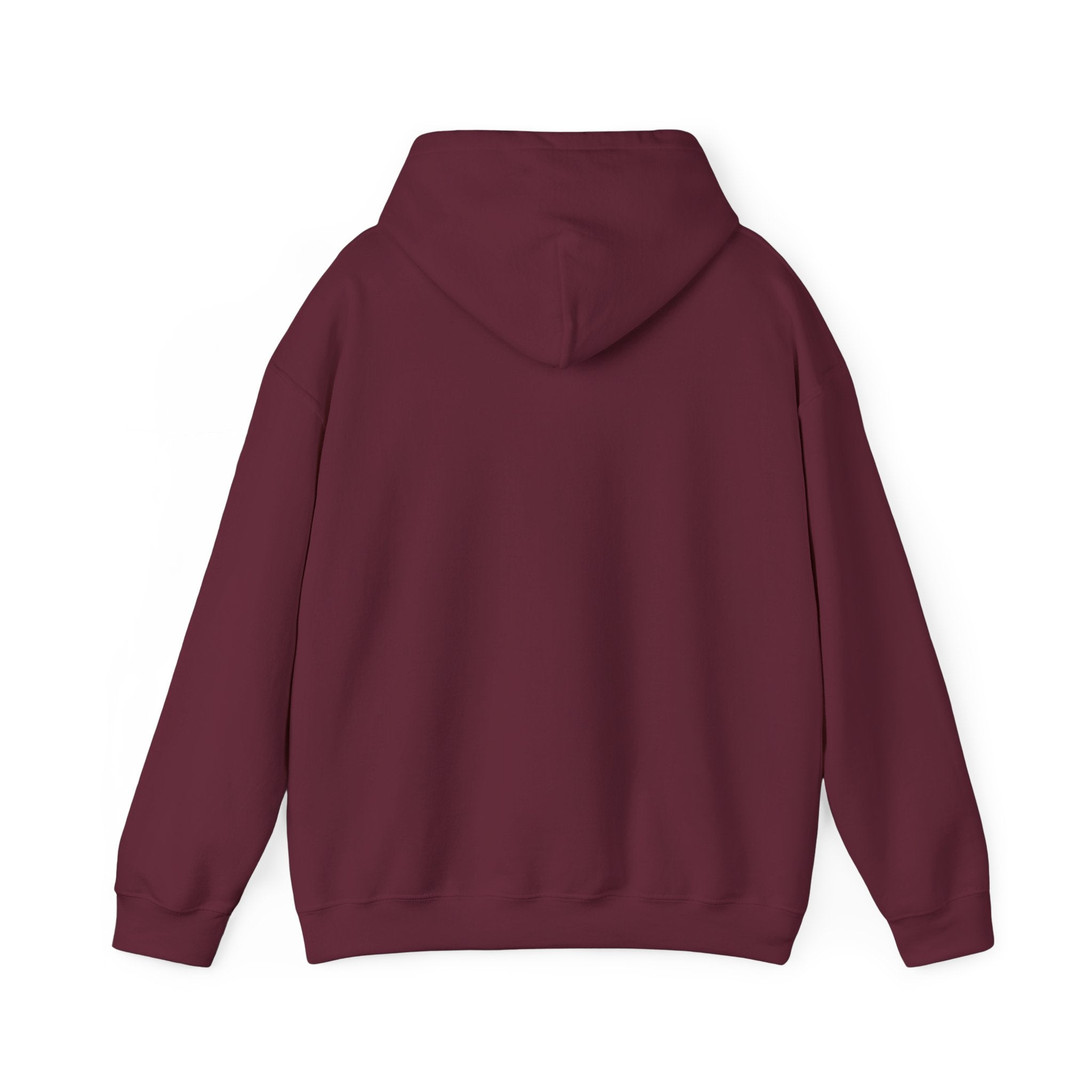 Gen X The Feral Generation Hoodie, Gen X Hoodie, Generation X Hoodie, Retro Gen X Hooded Sweatshirt, Cute Gen X Hoodie, Trendy Gen X Hoodie