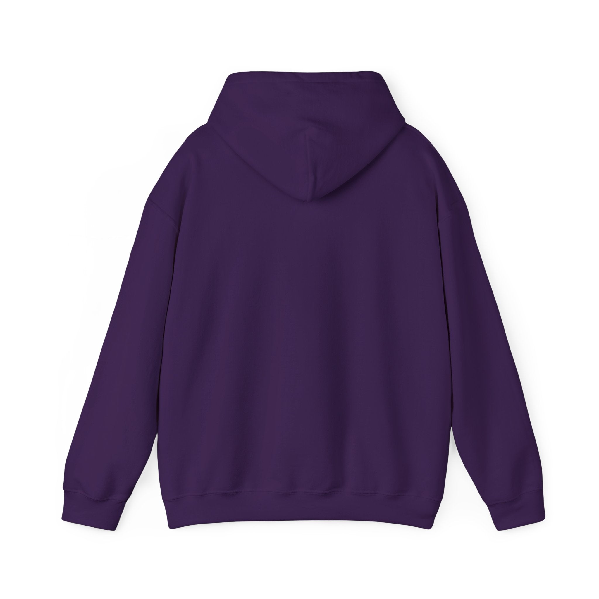 Gen X The Feral Generation Hoodie, Gen X Hoodie, Generation X Hoodie, Retro Gen X Hooded Sweatshirt, Cute Gen X Hoodie, Trendy Gen X Hoodie