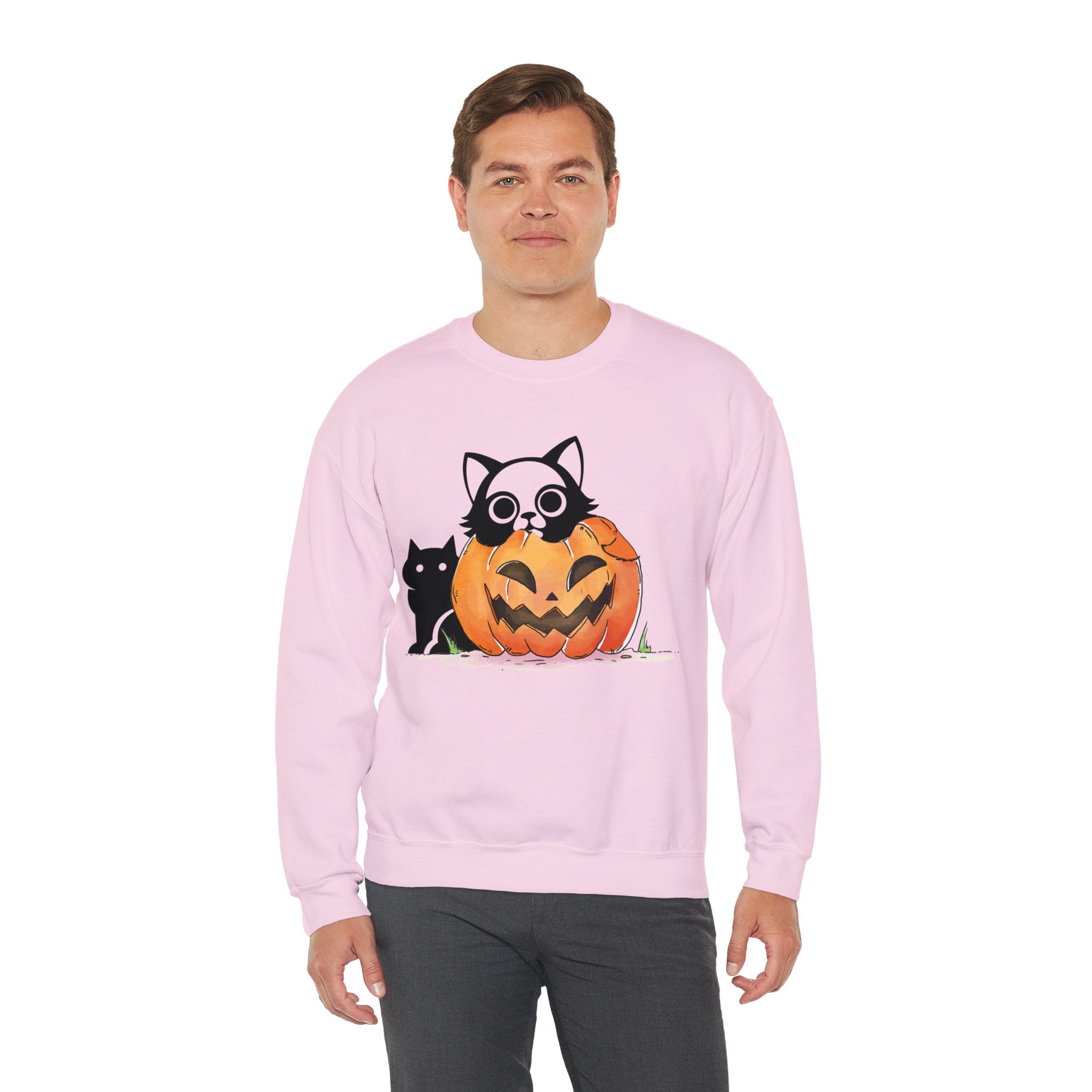 Black Cat Pumpkin Sweatshirt, Halloween Sweatshirt, Pumpkin shirt, Fall Sweatshirt for Women, Halloween Crewneck, Spooky Season, Bat top