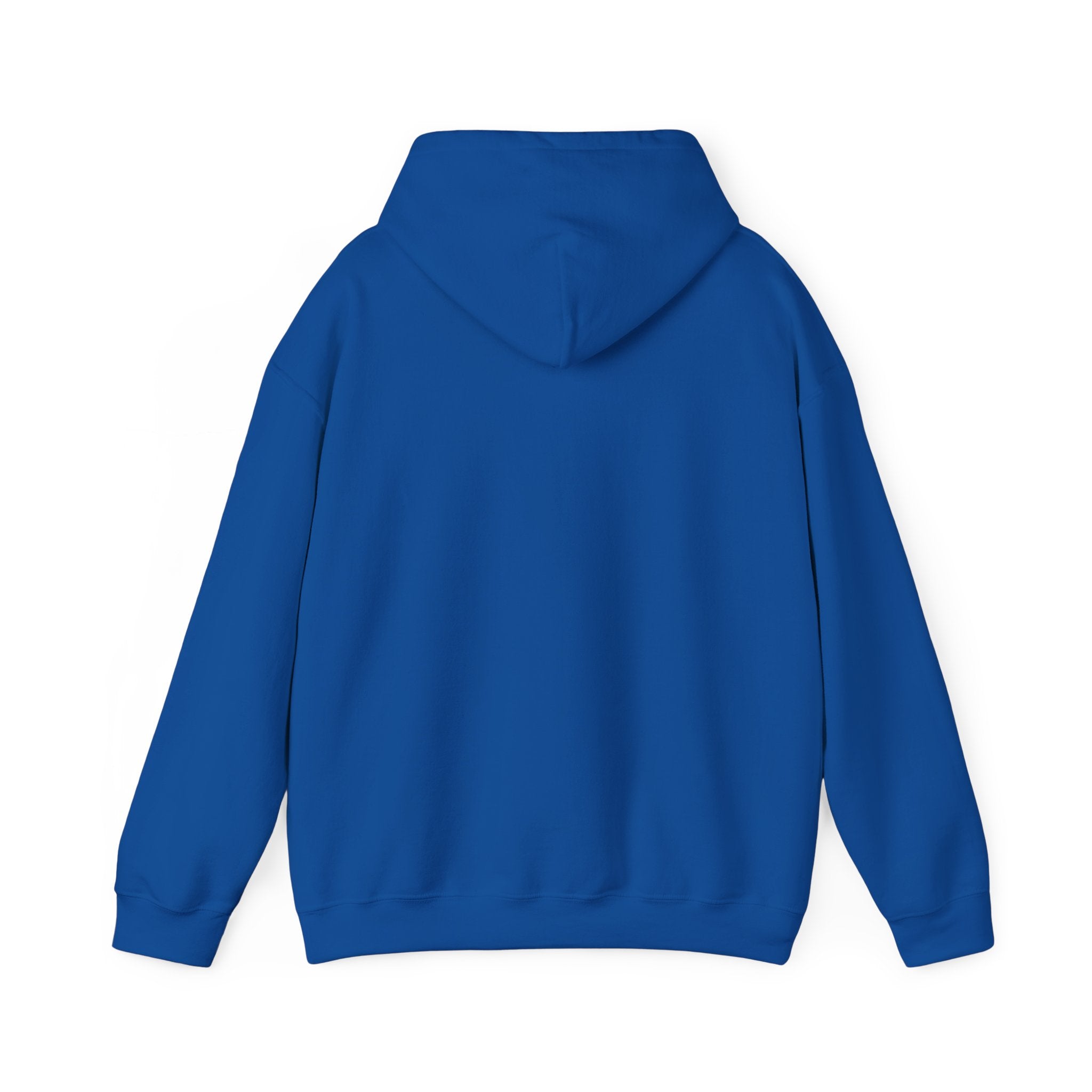 Gen X The Feral Generation Hoodie, Gen X Hoodie, Generation X Hoodie, Retro Gen X Hooded Sweatshirt, Cute Gen X Hoodie, Trendy Gen X Hoodie