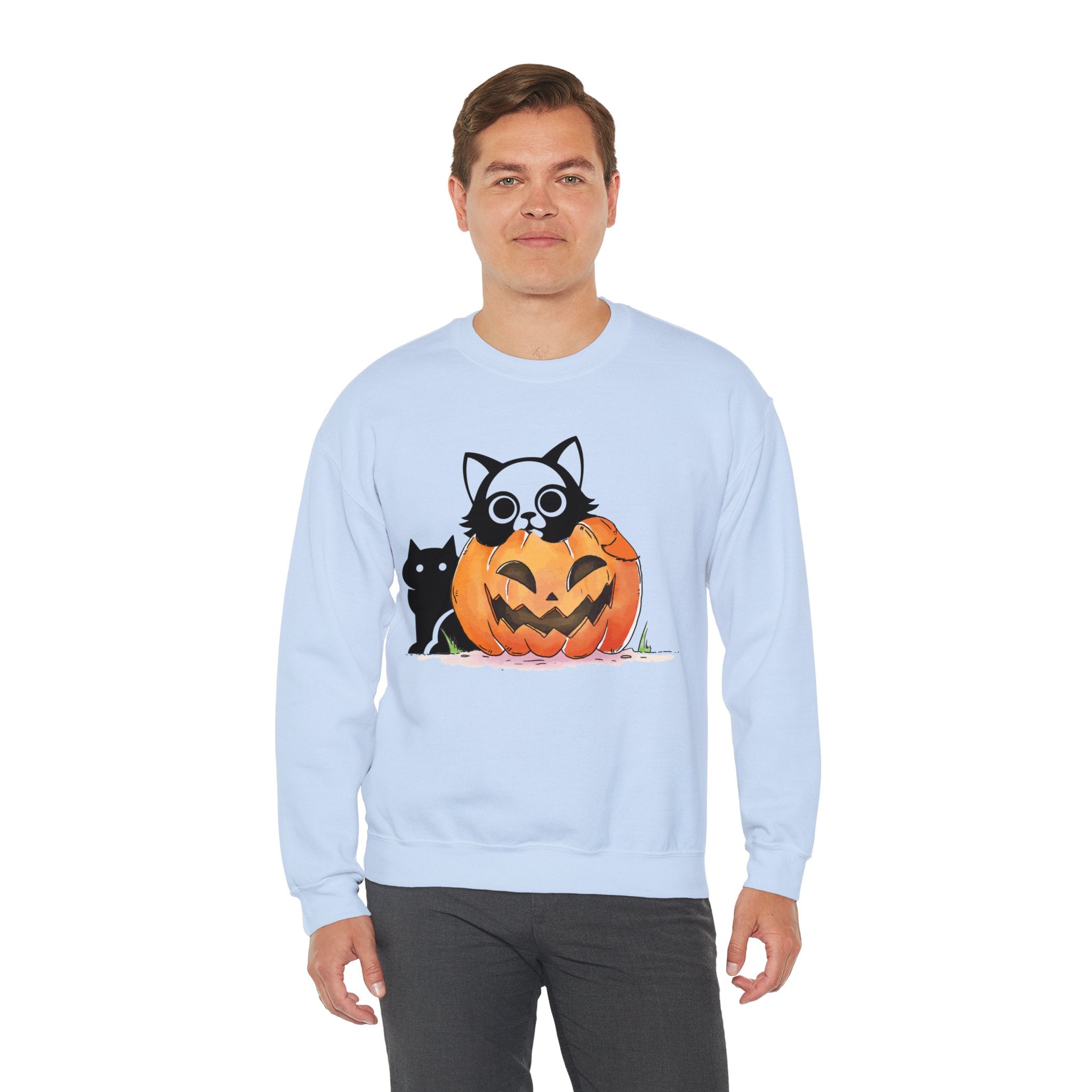 Black Cat Pumpkin Sweatshirt, Halloween Sweatshirt, Pumpkin shirt, Fall Sweatshirt for Women, Halloween Crewneck, Spooky Season, Bat top