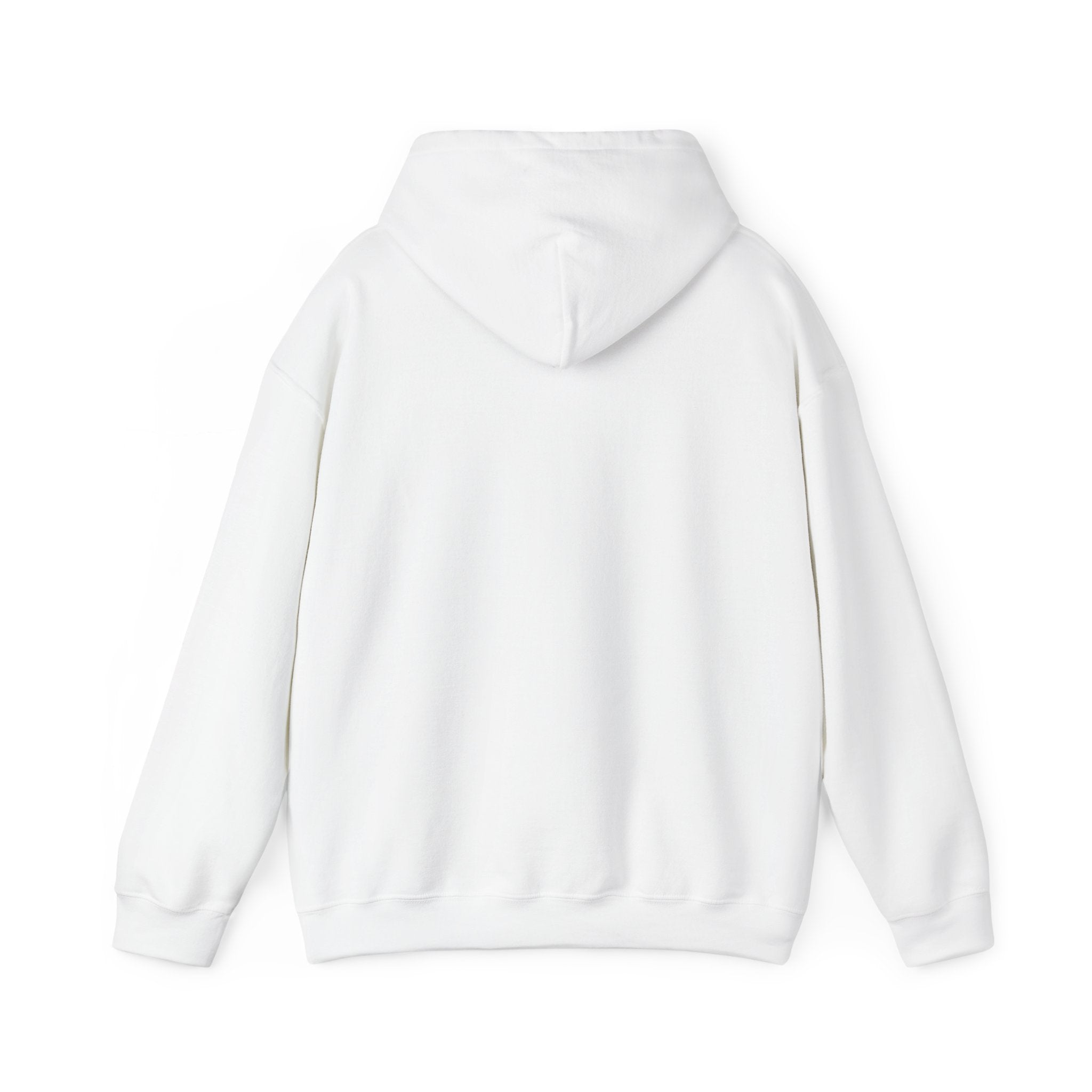 Gen X The Feral Generation Hoodie, Gen X Hoodie, Generation X Hoodie, Retro Gen X Hooded Sweatshirt, Cute Gen X Hoodie, Trendy Gen X Hoodie