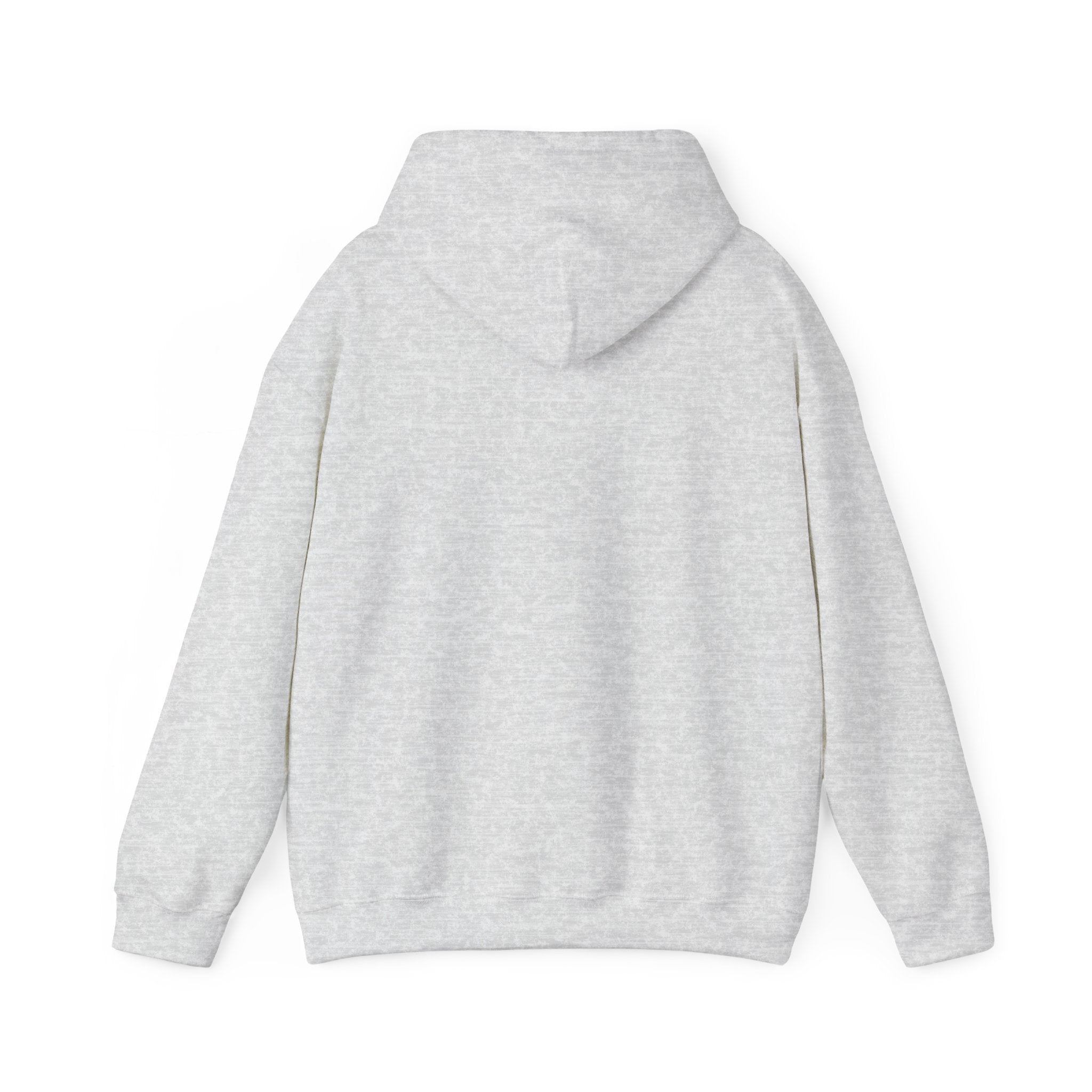 Gen X The Feral Generation Hoodie, Gen X Hoodie, Generation X Hoodie, Retro Gen X Hooded Sweatshirt, Cute Gen X Hoodie, Trendy Gen X Hoodie