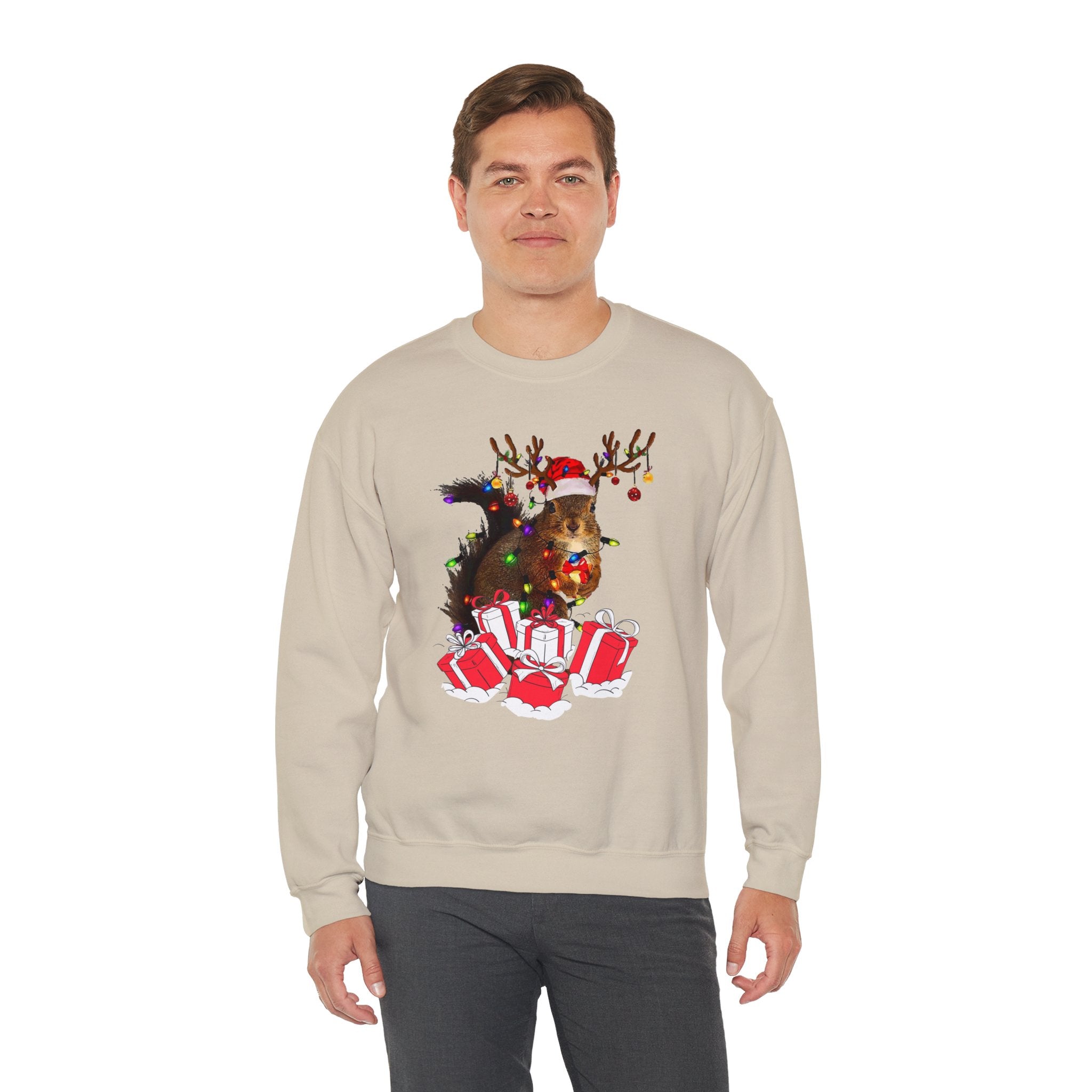 Christmas Squirrel Lights Sweatshirt, Christmas Sweatshirt, Funny Christmas Sweat, Christmas Gift Sweater, Holiday Crewneck