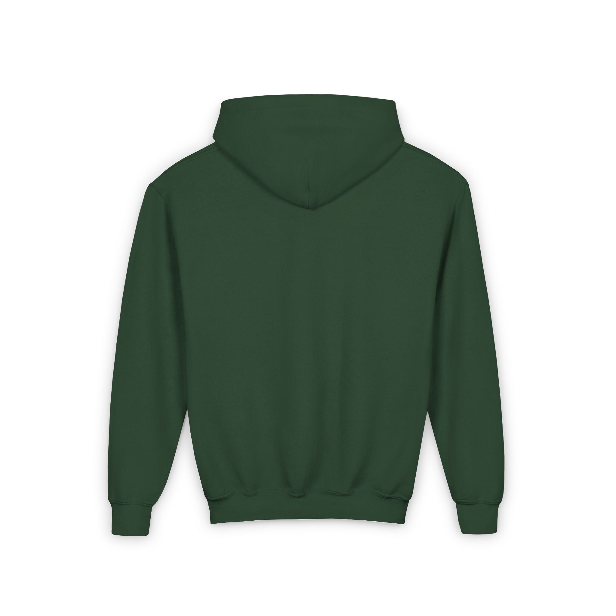 Slainte Kids Hoodie, St Patrick's Day Kids Hoodie, Irish Kids Hooded Sweatshirt, Cute Shamrock Tee, St Paddys Day Tee, Shenanigans, Gift for Boy Girl