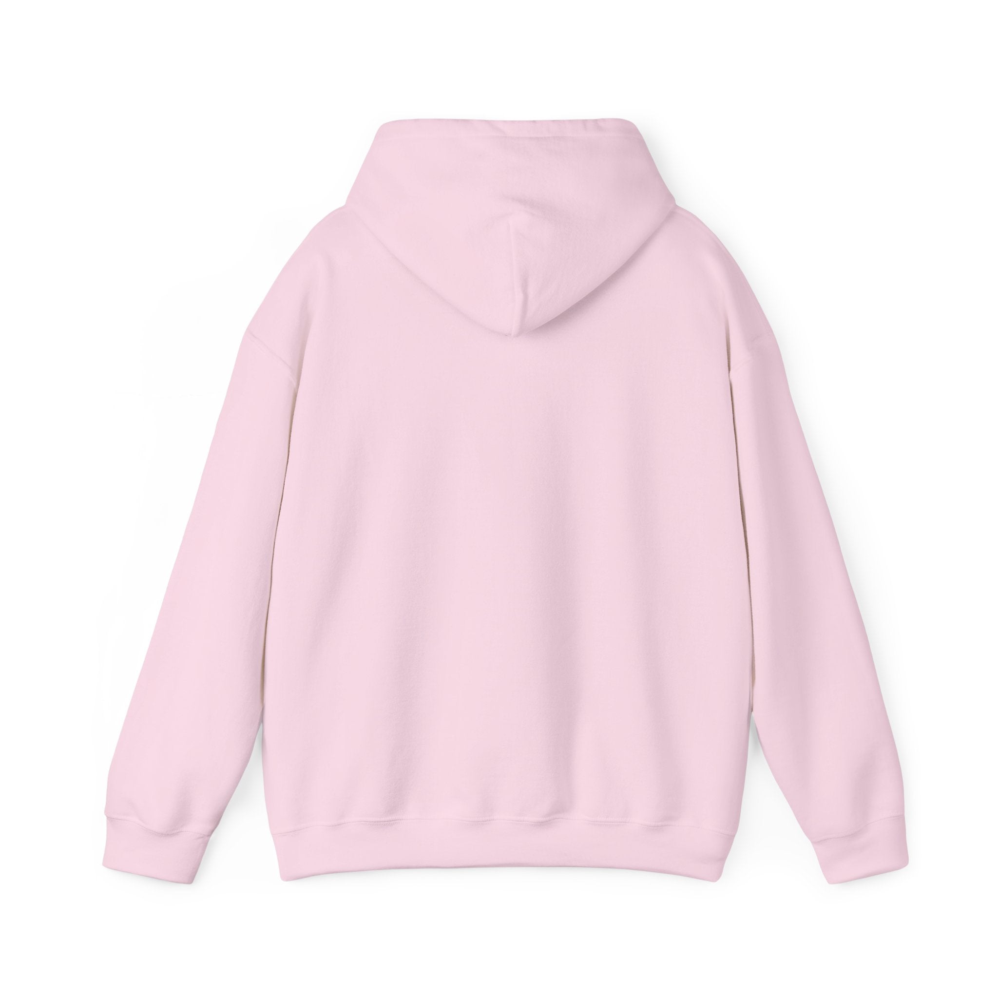 Gen X The Feral Generation Hoodie, Gen X Hoodie, Generation X Hoodie, Retro Gen X Hooded Sweatshirt, Cute Gen X Hoodie, Trendy Gen X Hoodie