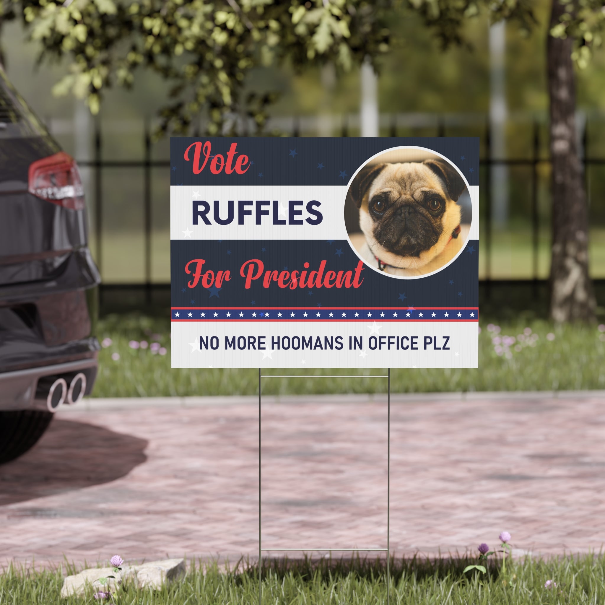 Custom Pet Political Yard Sign, Funny 2024 Political Sign, Dog Election Sign, Cat Political Yard