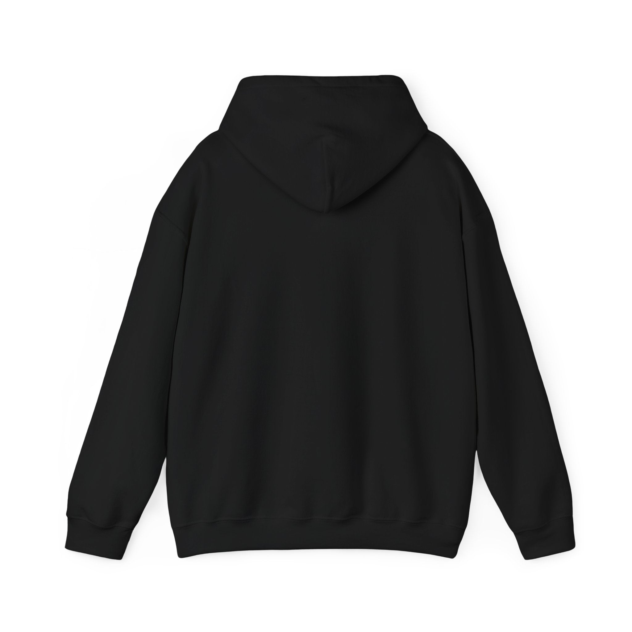 Gen X The Feral Generation Hoodie, Gen X Hoodie, Generation X Hoodie, Retro Gen X Hooded Sweatshirt, Cute Gen X Hoodie, Trendy Gen X Hoodie