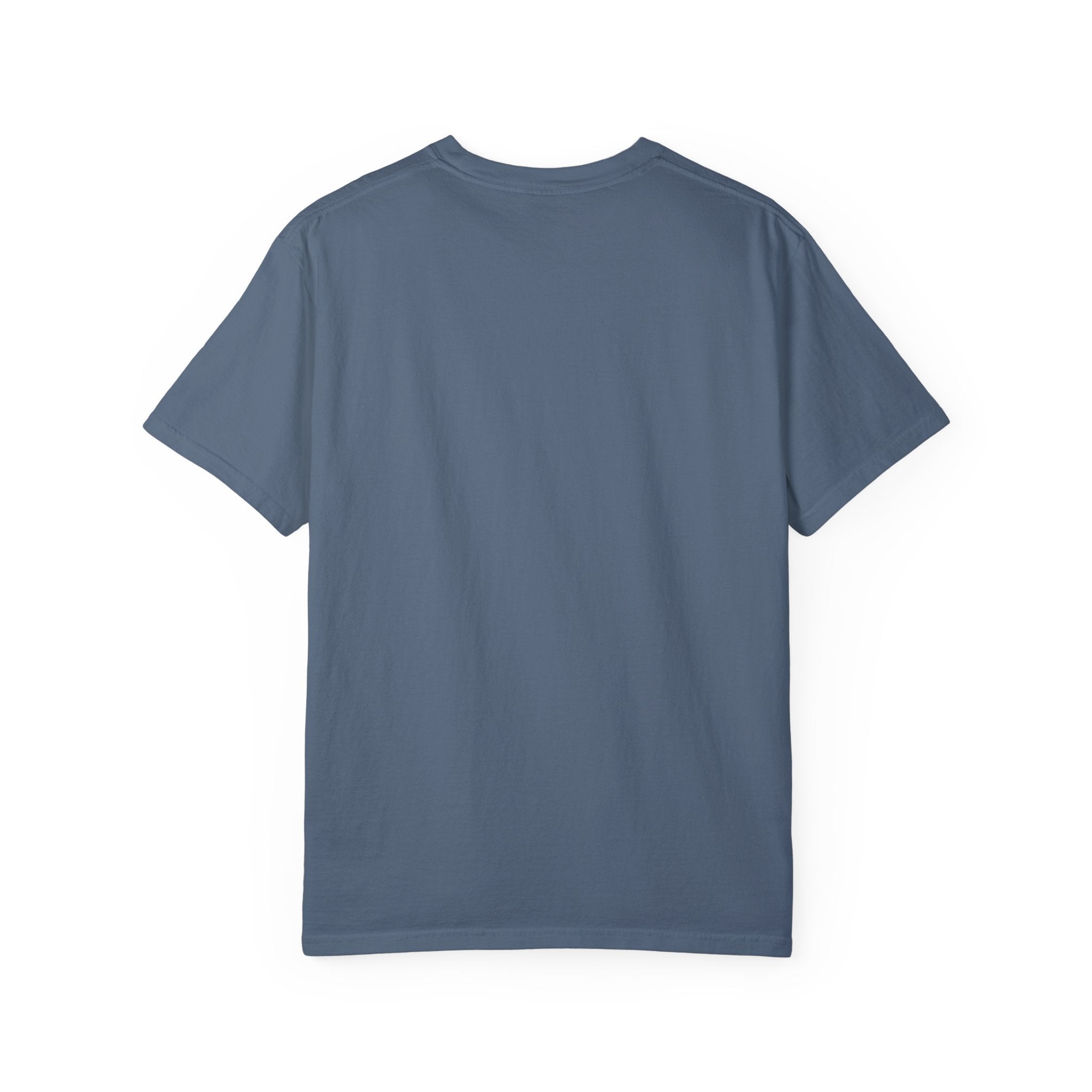 Literally Anyone Under 70 Shirt, 2024 Election Tee, Funny President Election Shirt, Vote Shirt, Voting Shirt, Political Shirt, Political Tee