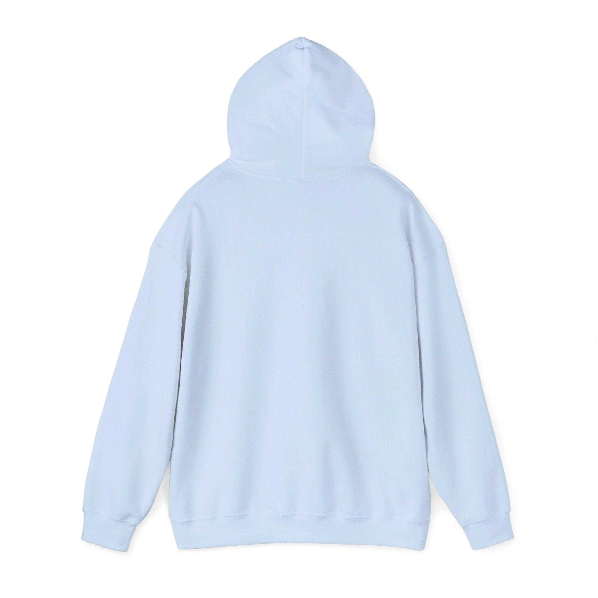 Mental Health Hoodie, Anxiety Shirt, School Counselor, Special Ed Gifts, School Psychologist