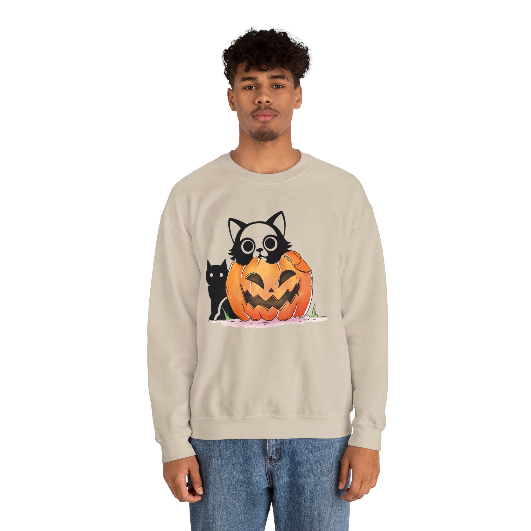 Black Cat Pumpkin Sweatshirt, Halloween Sweatshirt, Pumpkin shirt, Fall Sweatshirt for Women, Halloween Crewneck, Spooky Season, Bat top