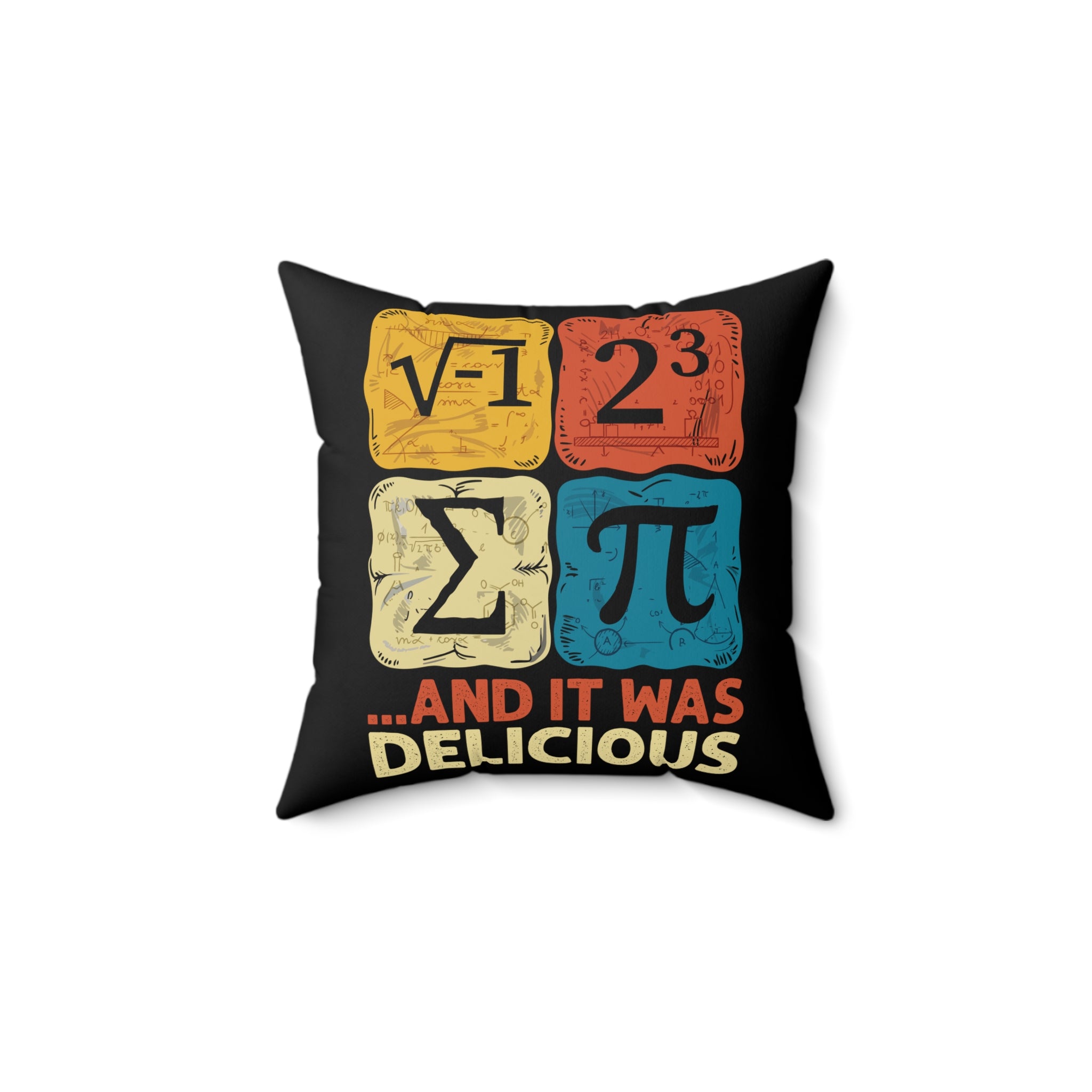 I Ate Some Pie and It was Delicious Pi Day Pillow 